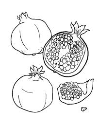 Coloring page pomegranates whole and cross section